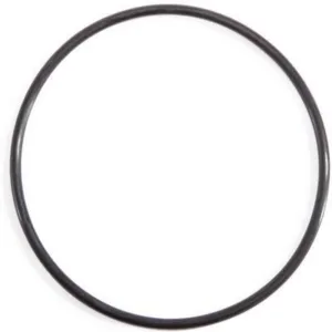 O-Ring (Elektrolyse) Til 28423/28424 Intex reservdel 11853
